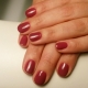 Аппаратный маникюр/Укрепление Bio sculpture gel